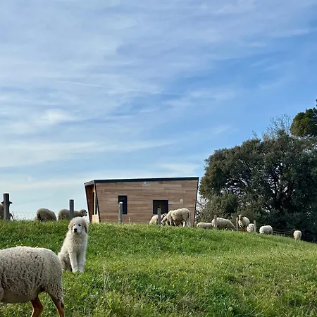 La Tiny House Des Vignes Du Chateau De Vauclaire בית כפרי *