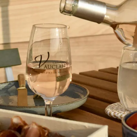 La Tiny House Des Vignes Du Chateau De Vauclaire בית כפרי Meyrargues