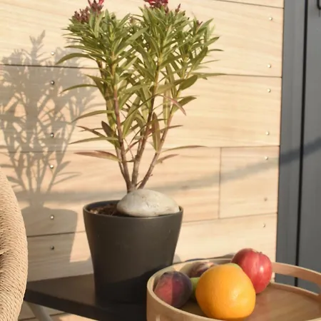 בית כפרי La Tiny House Des Vignes Du Chateau De Vauclaire