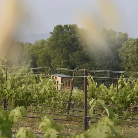 La Tiny House Des Vignes Du Chateau De Vauclaire בית כפרי